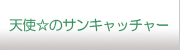 天使のサンキャッチャー